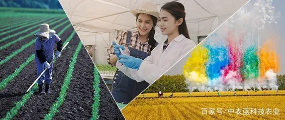 农业创新转型为中农蓝实现"换道超车"|农产品|农作物|农机|种植_网易